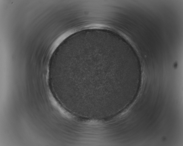 X0000116761418200912241133