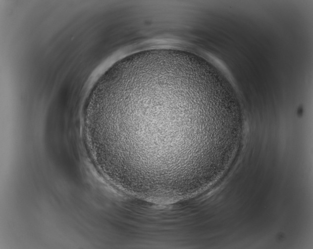 X0000116761419200912241133