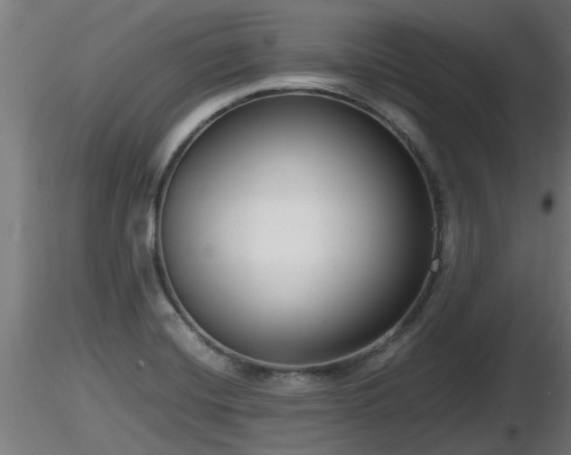 X0000116761420200912241133