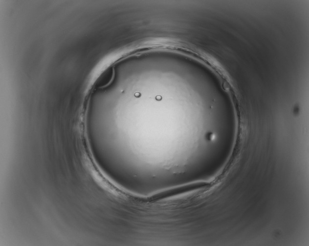 X0000116761421200912241133