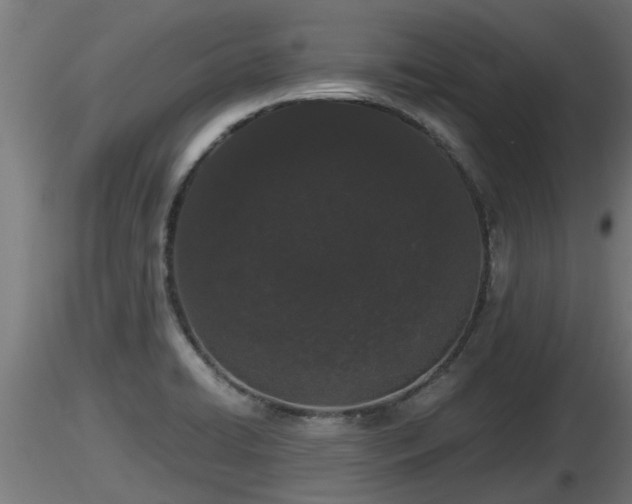 X0000116761422200912241133