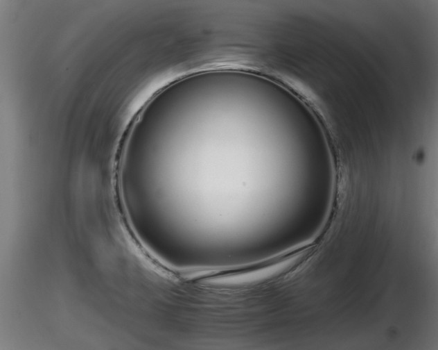 X0000116761423200912241133