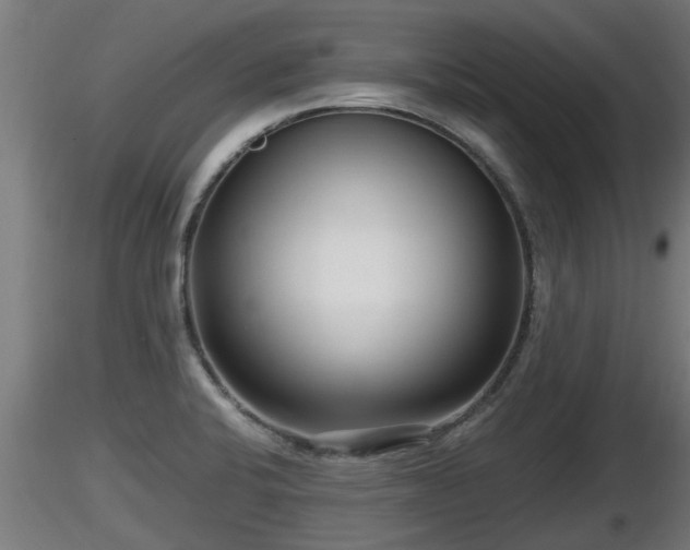 X0000116761424200912241133