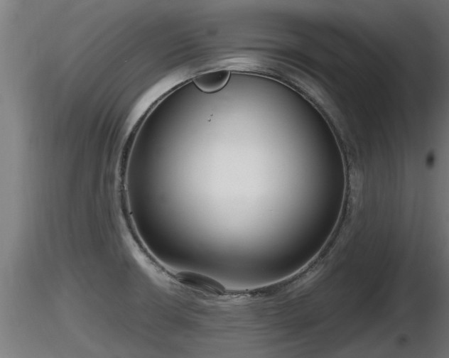 X0000116761426200912241133