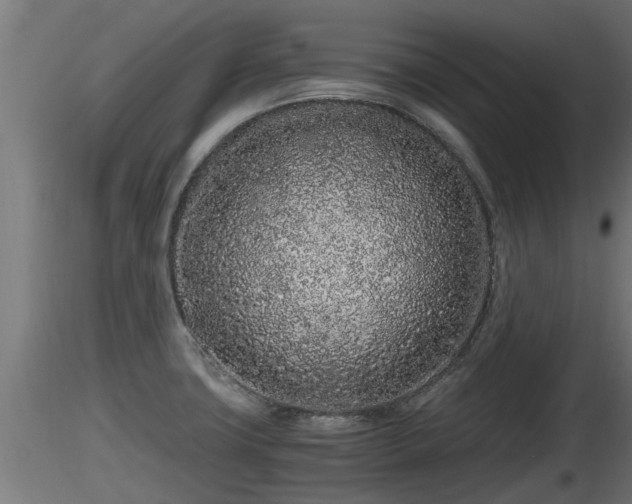 X0000116761427200912241133
