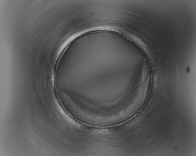 X0000116761428200912241133