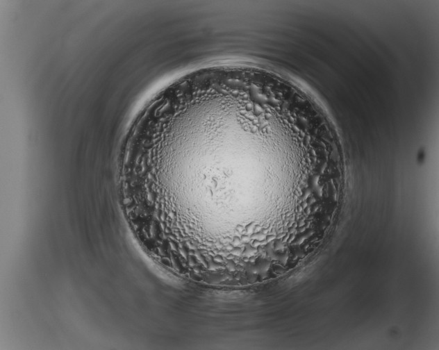 X0000116761429200912241133