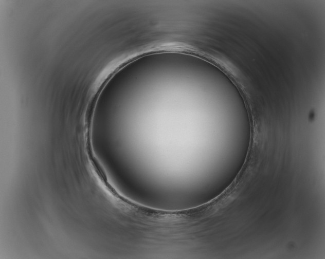 X0000116761430200912241133