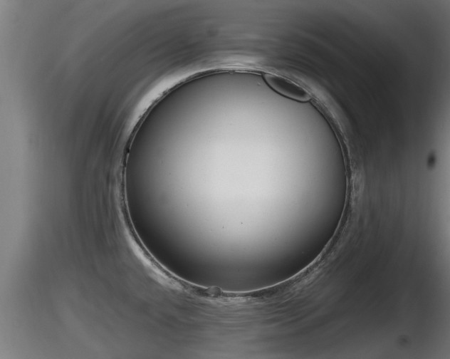 X0000116761432200912241133