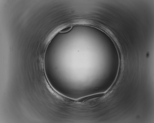 X0000116761433200912241133