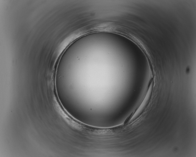 X0000116761434200912241133