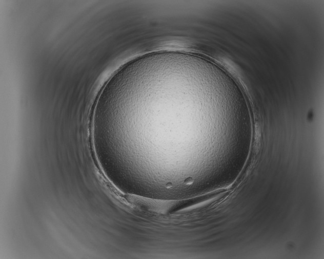 X0000116761435200912241133