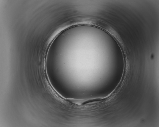 X0000116761436200912241133