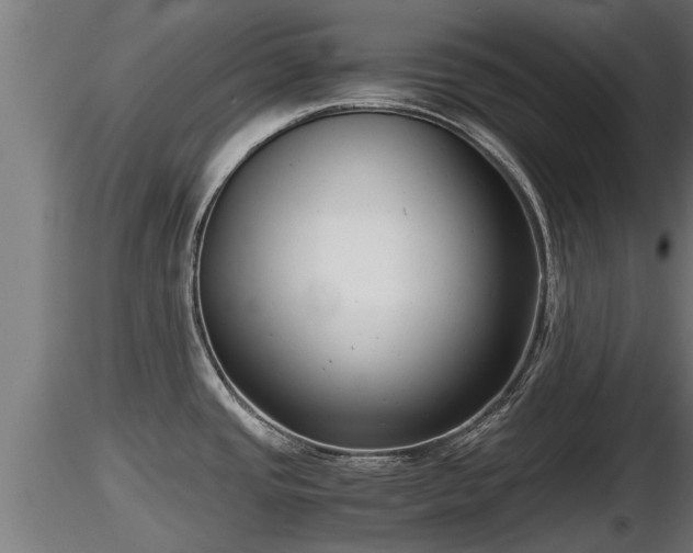 X0000116761437200912241133