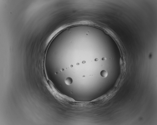 X0000116761438200912241133
