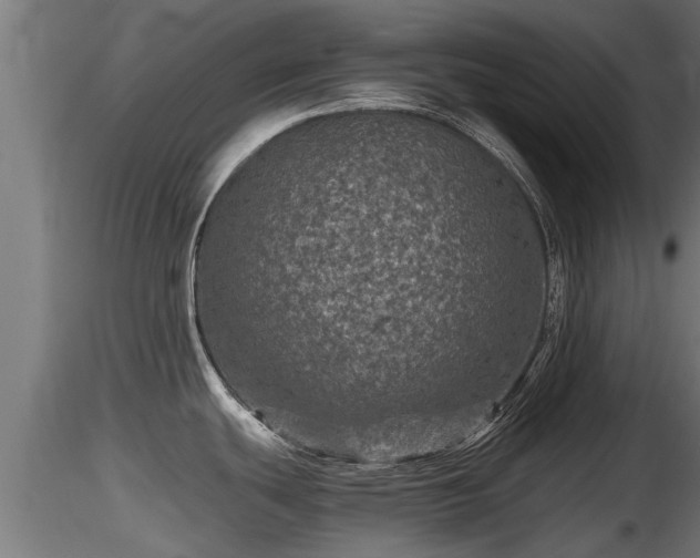 X0000116761439200912241133