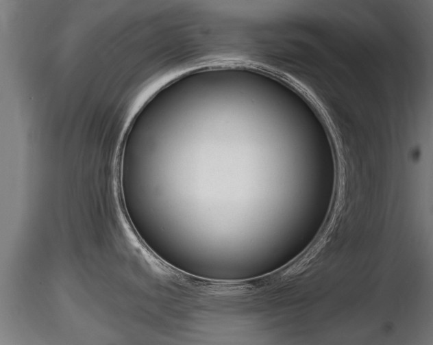 X0000116761440200912241133