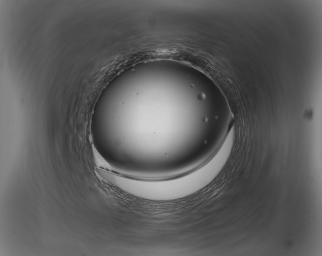 X0000116761441200912241132