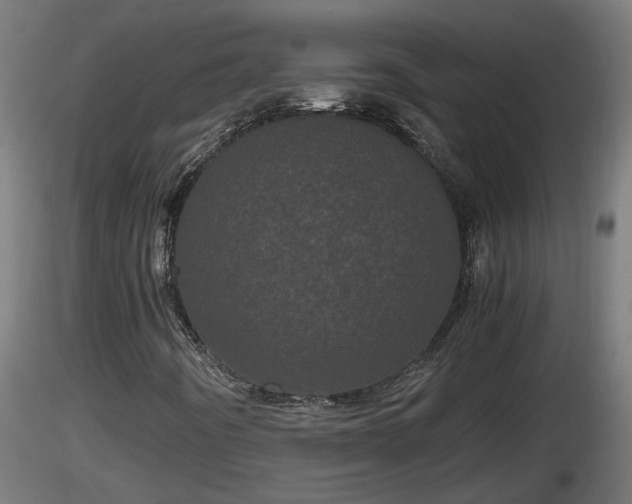 X0000116761442200912241132