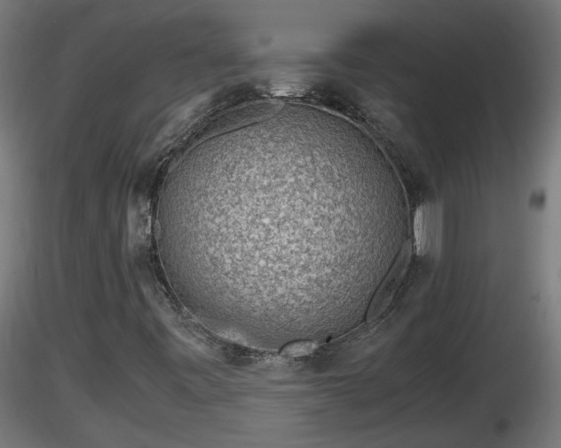 X0000116761443200912241132