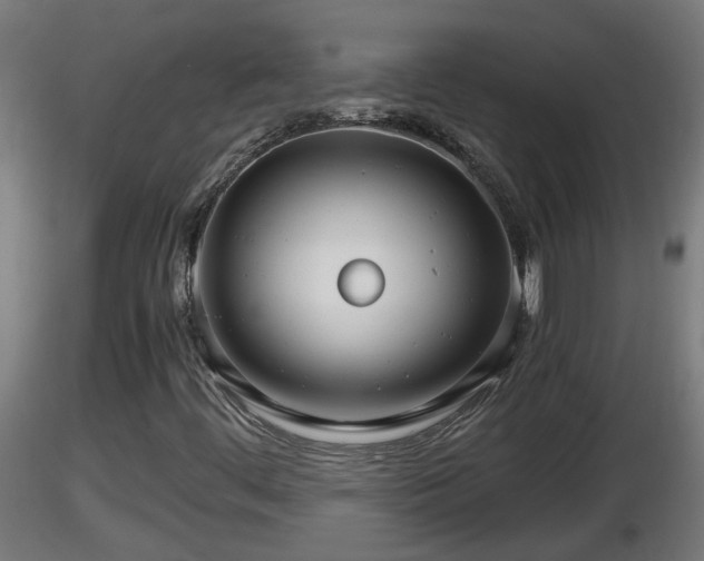 X0000116761444200912241132