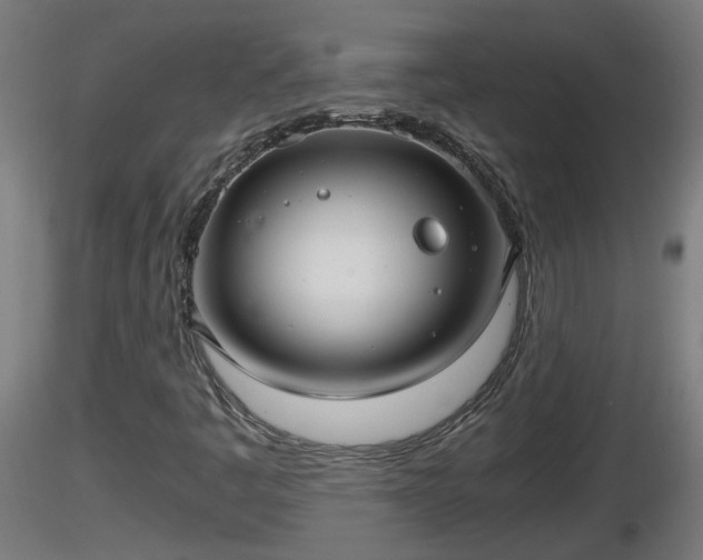 X0000116761445200912241132