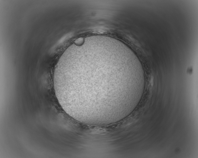 X0000116761446200912241132