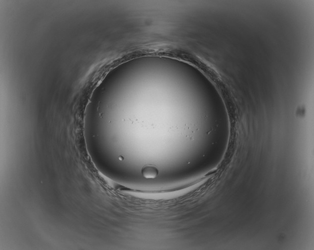 X0000116761447200912241132
