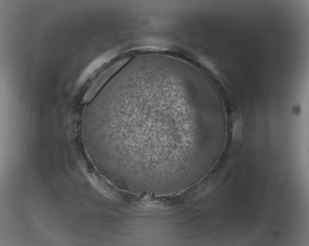 X0000116761448200912241132