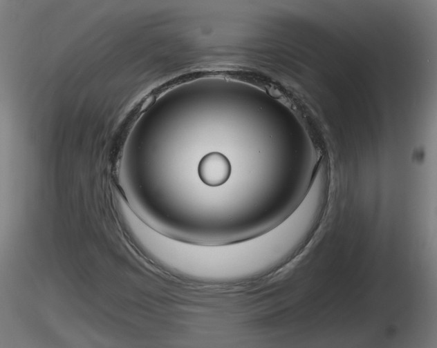 X0000116761449200912241132