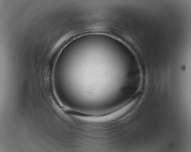 X0000116761450200912241132
