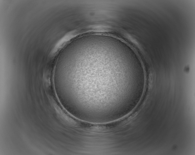 X0000116761451200912241132