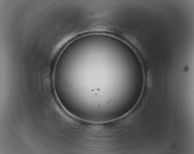 X0000116761452200912241132