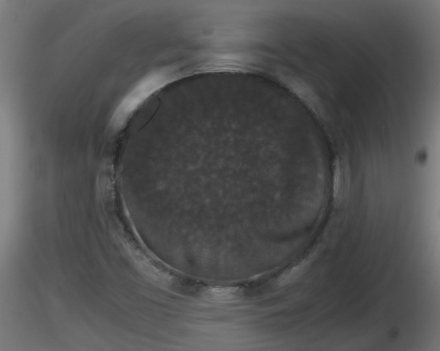 X0000116761453200912241132