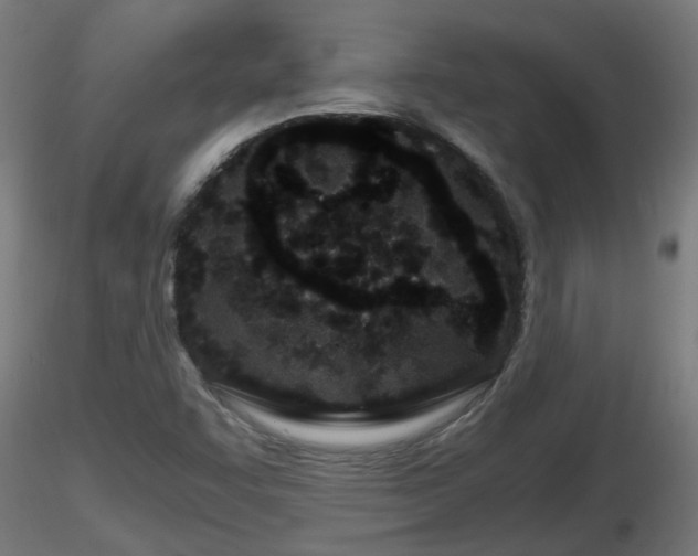 X0000116761455200912241132