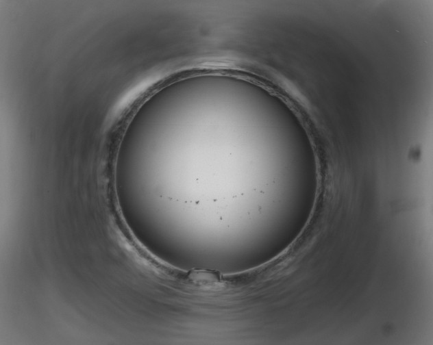 X0000116761456200912241132