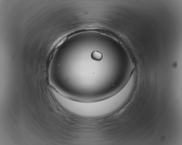 X0000116761457200912241132