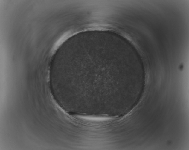 X0000116761459200912241132