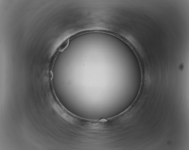 X0000116761460200912241132