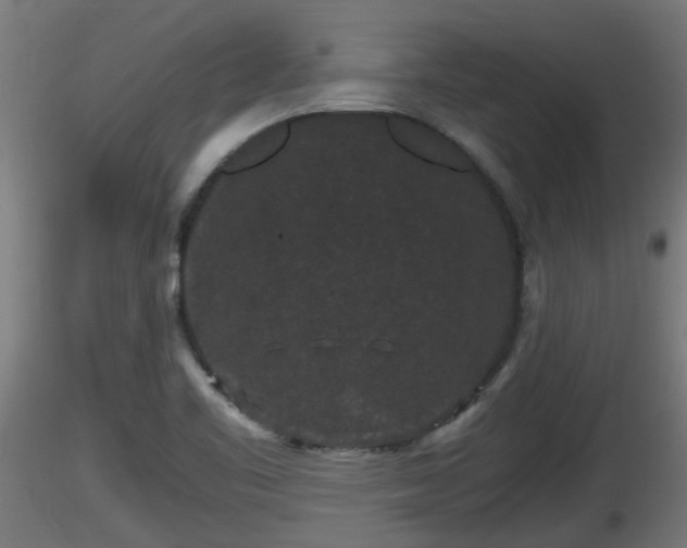 X0000116761461200912241132