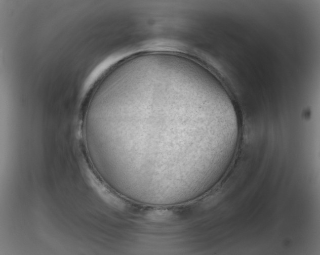 X0000116761462200912241132