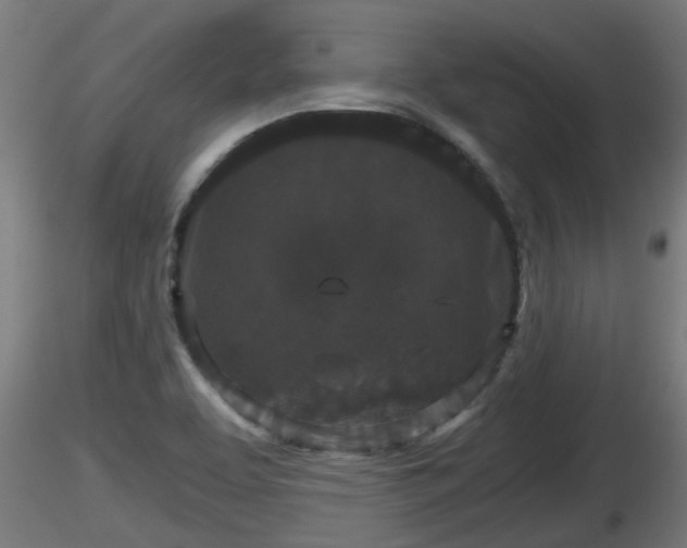 X0000116761463200912241132