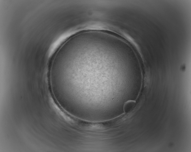 X0000116761464200912241132