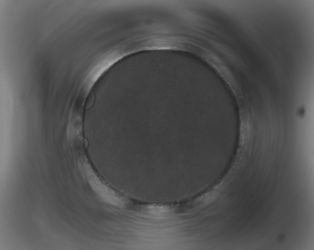 X0000116761465200912241132