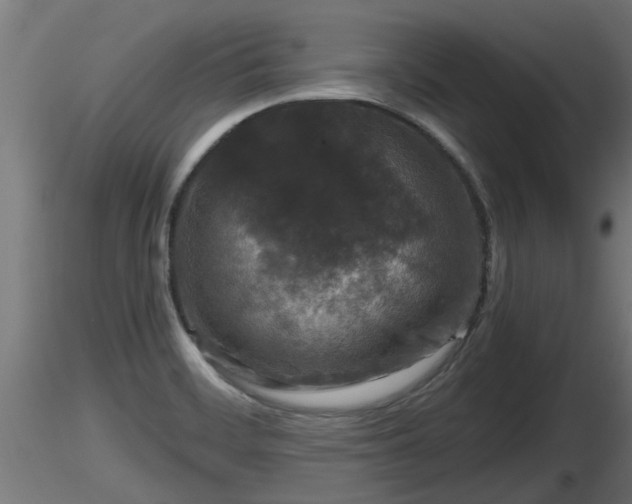 X0000116761468200912241132