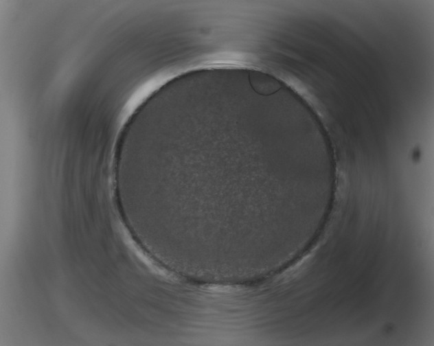 X0000116761469200912241132