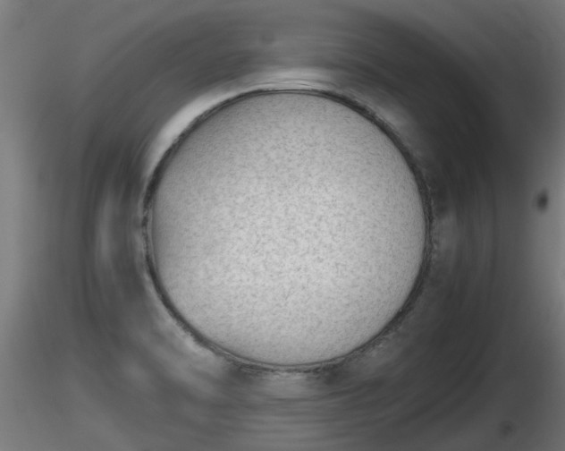 X0000116761470200912241132