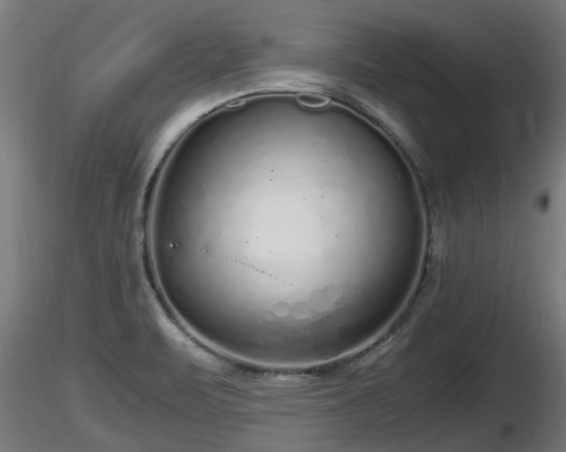 X0000116761471200912241132