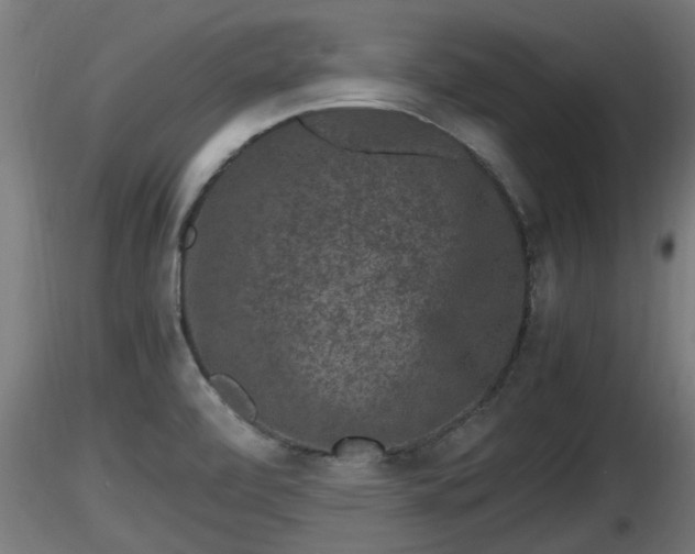 X0000116761472200912241132