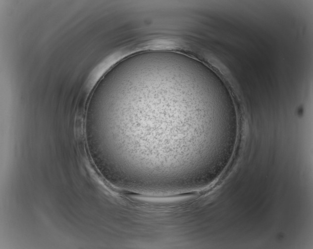 X0000116761473200912241132